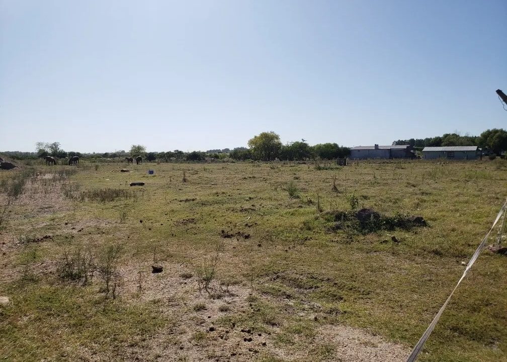 Campo de cinco hectáreas en Villa Guadalupe 7