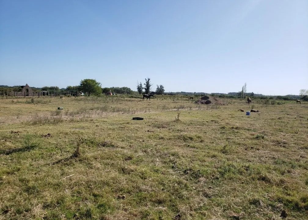 Campo de cinco hectáreas en Villa Guadalupe 9