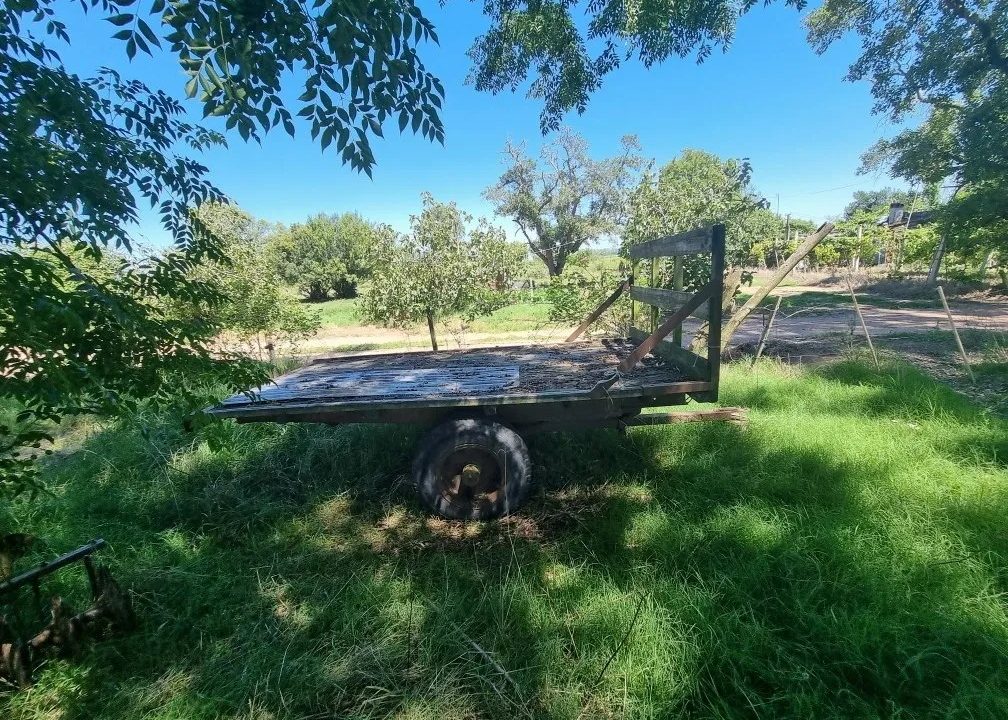 Chacra con vivienda y herramientas próxima a Canelones 6