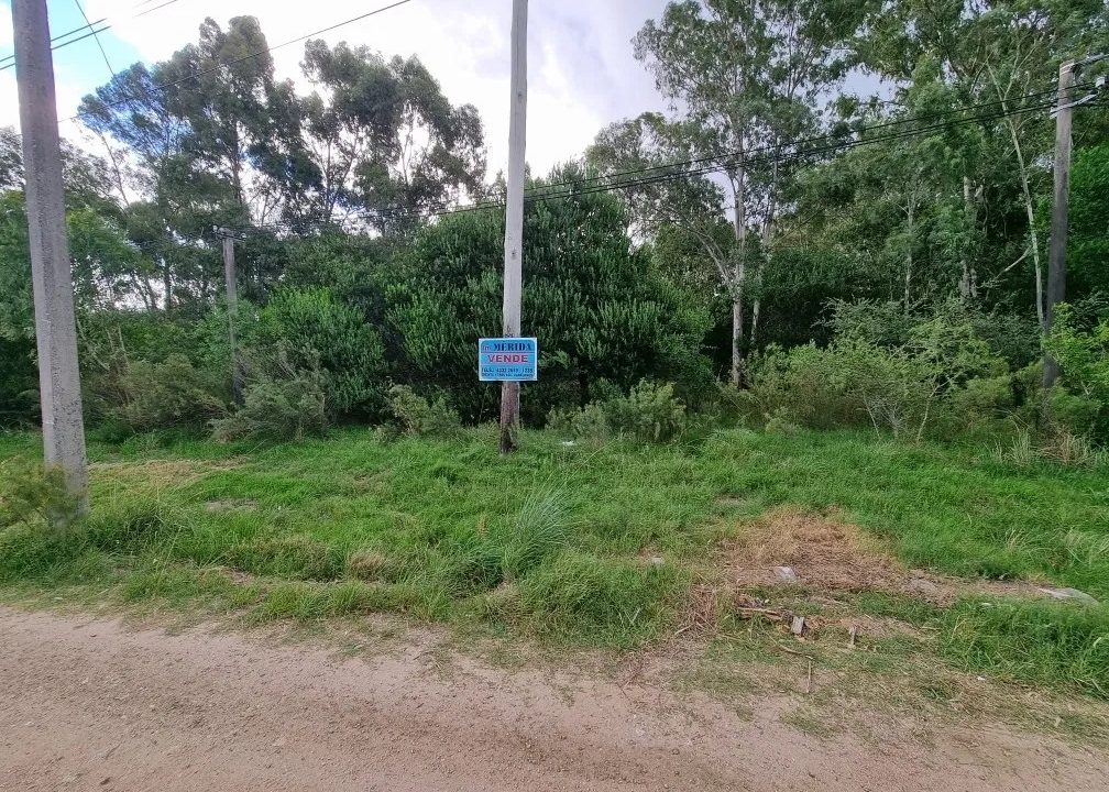 Terreno de 7560 metros cuadrados ideal para emprendimiento en Britópolis 1