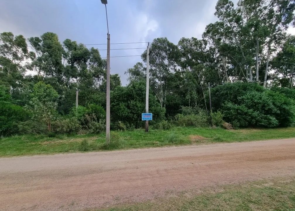 Terreno de 7560 metros cuadrados ideal para emprendimiento en Britópolis 5