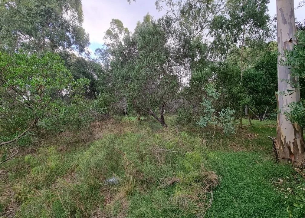 Terreno de 7560 metros cuadrados ideal para emprendimiento en Britópolis 6