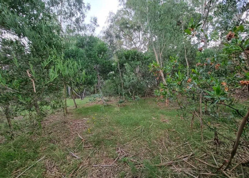 Terreno de 7560 metros cuadrados ideal para emprendimiento en Britópolis 7