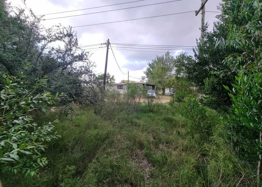 Terreno de 7560 metros cuadrados ideal para emprendimiento en Britópolis 8