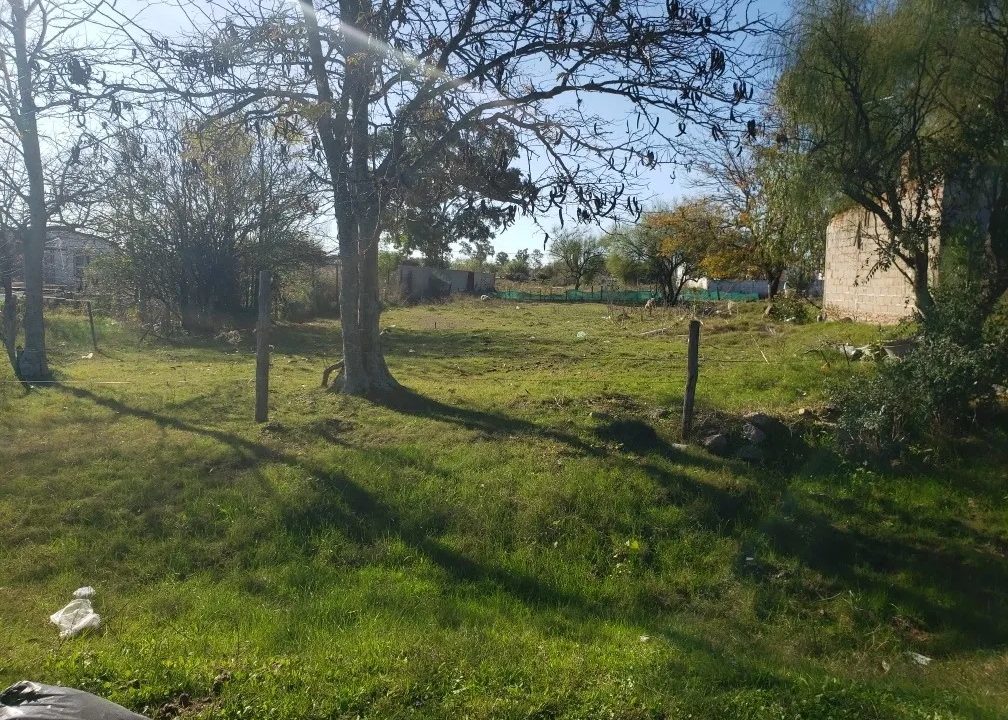 Venta de varias viviendas en amplio terreno de San Ramón 5