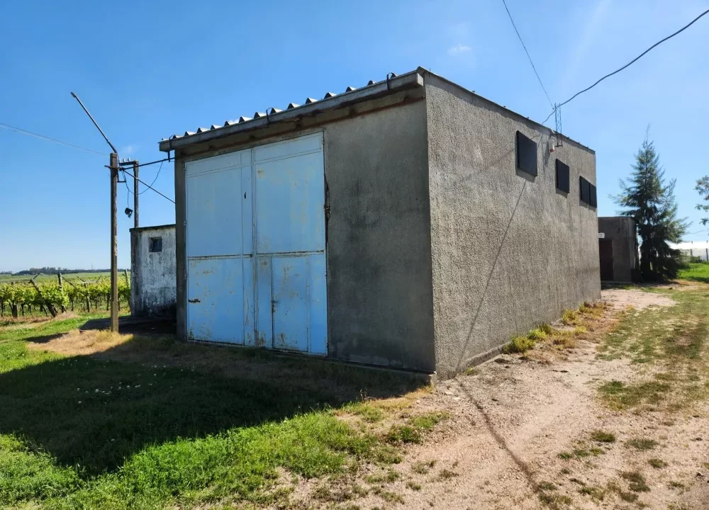 Chacra con Vivienda y Galpón en Parada Cabrera 15