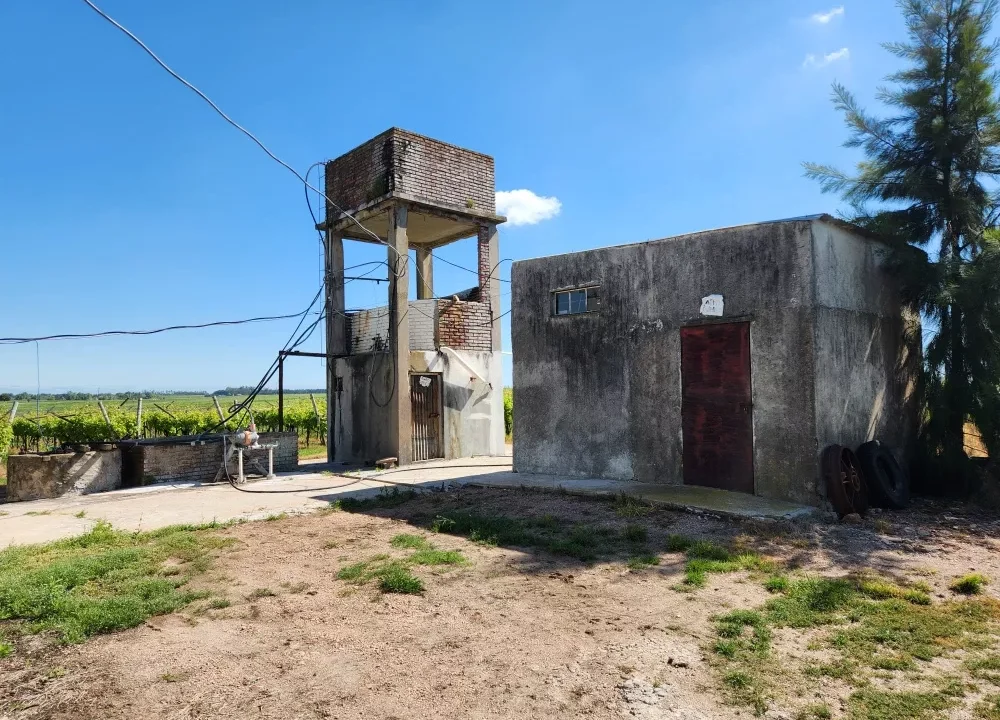 Chacra con Vivienda y Galpón en Parada Cabrera 16