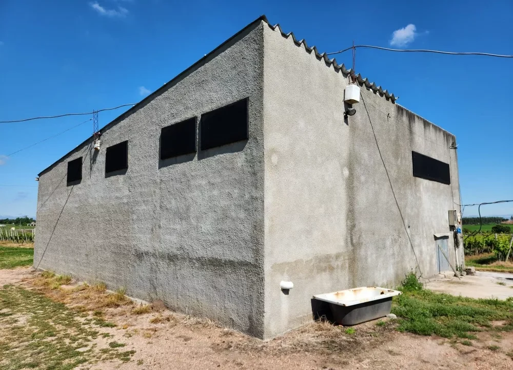 Chacra con Vivienda y Galpón en Parada Cabrera 17