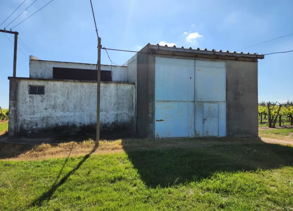 Chacra con Vivienda y Galpón en Parada Cabrera 18