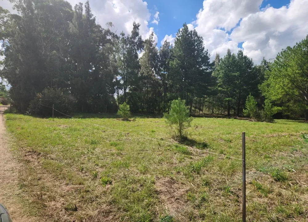 Venta de Terreno en Canelón Grande 1