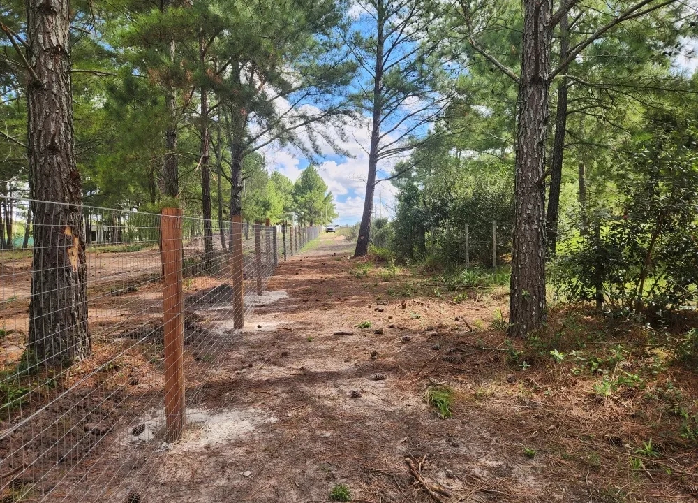 Venta de Terreno en Canelón Grande 12