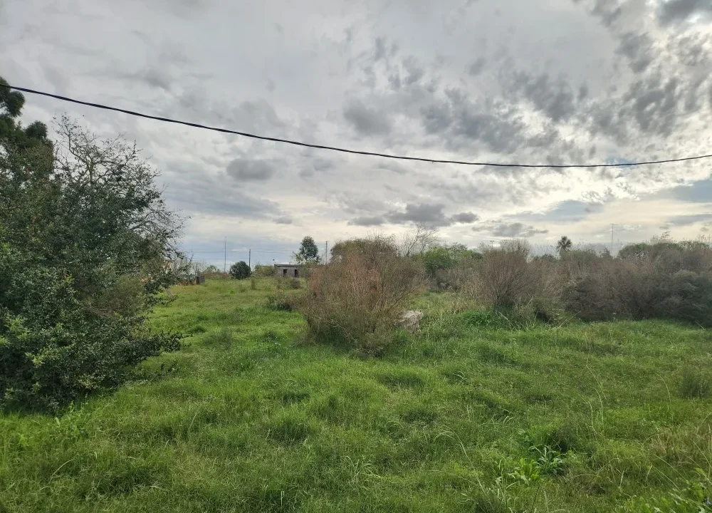 Venta de Terreno en Cuchilla Verde 6