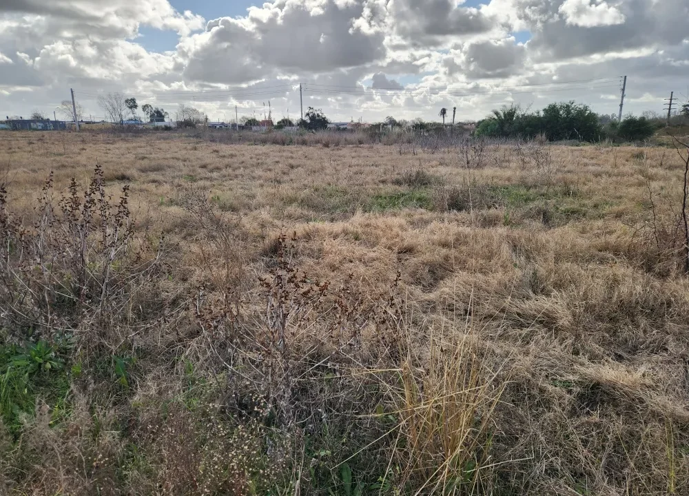 Venta de Terreno de 320 metros cuadrados en Canelones - 7