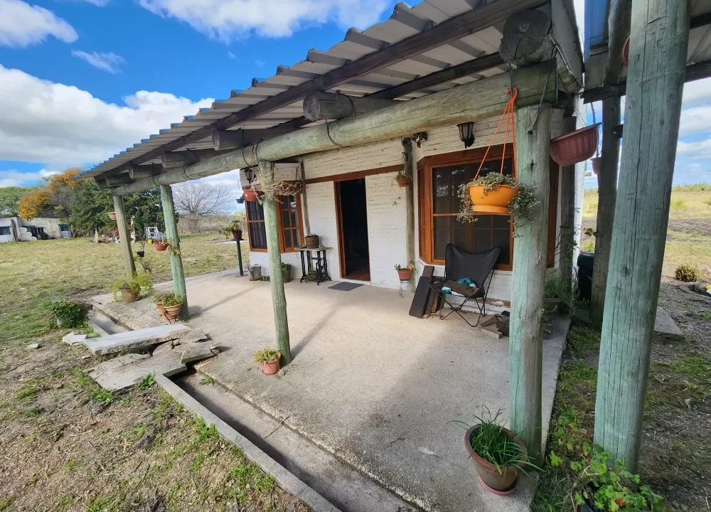 Venta de Chacra de 12 hectáreas con vivienda - 11