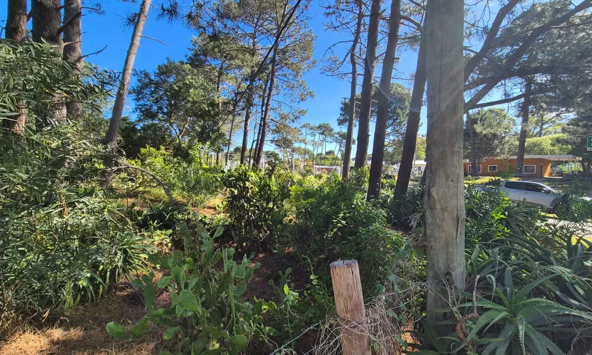 Terreno Guazuvira - 1