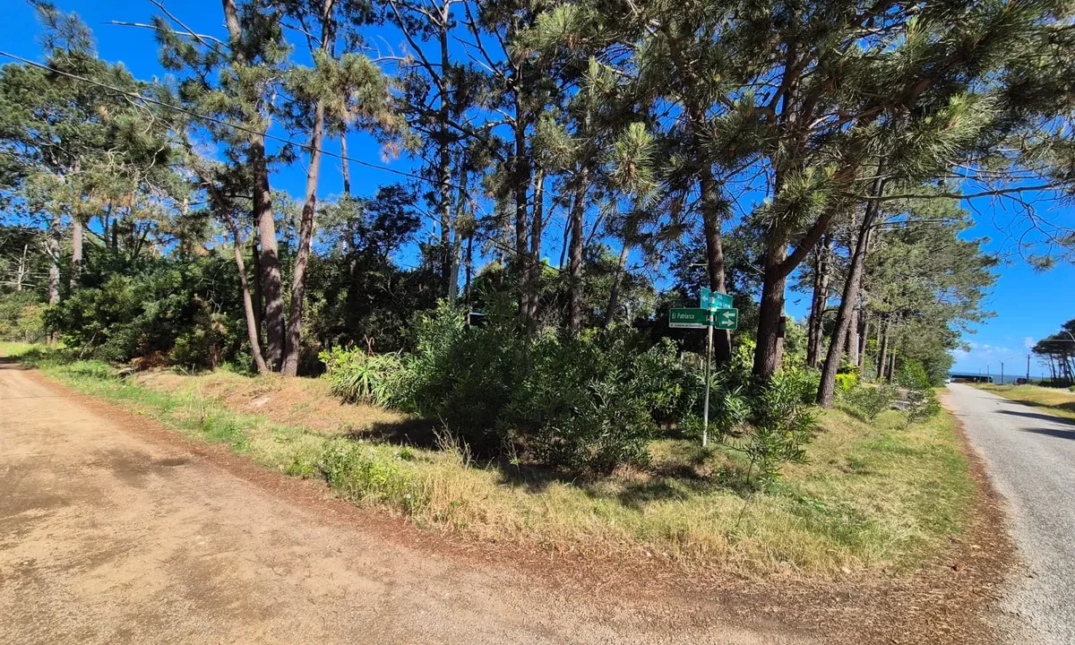 Terreno Guazuvira - 2