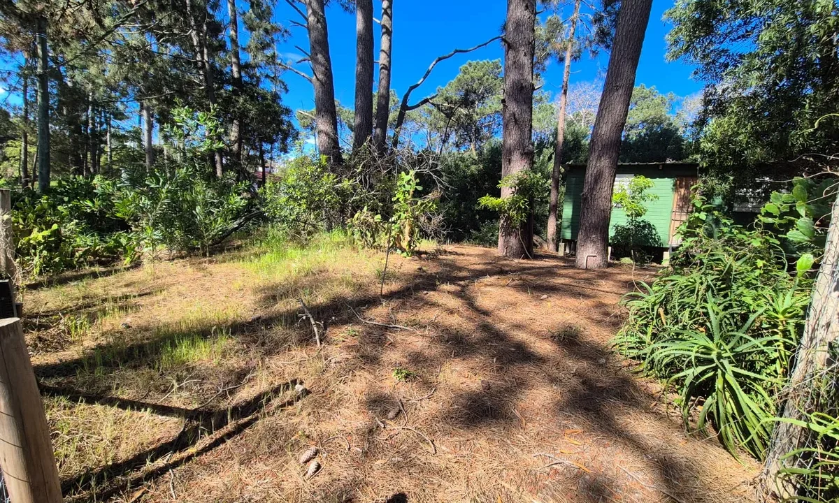 Terreno Guazuvira - 3