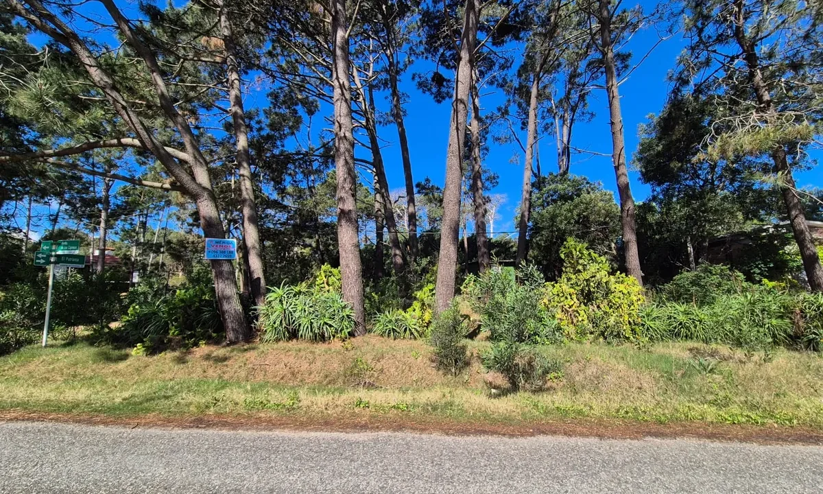 Terreno Guazuvira - 4