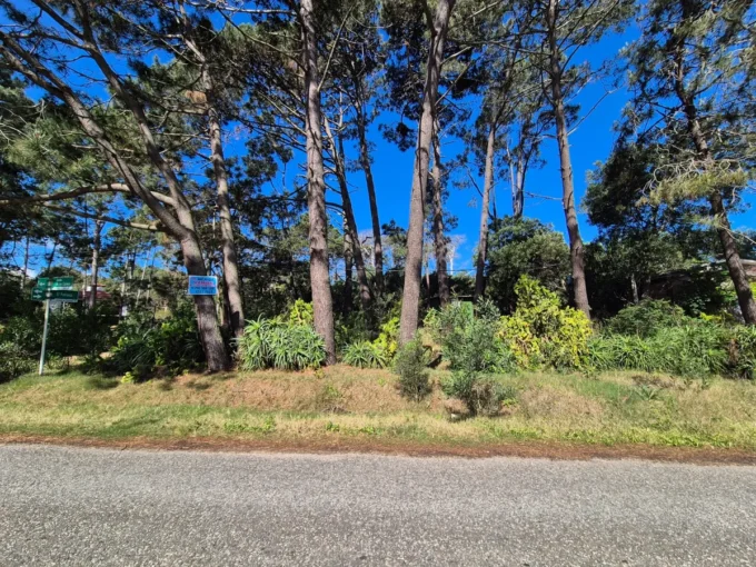 Amplio terreno a pasos de la playa en Guazuvirá