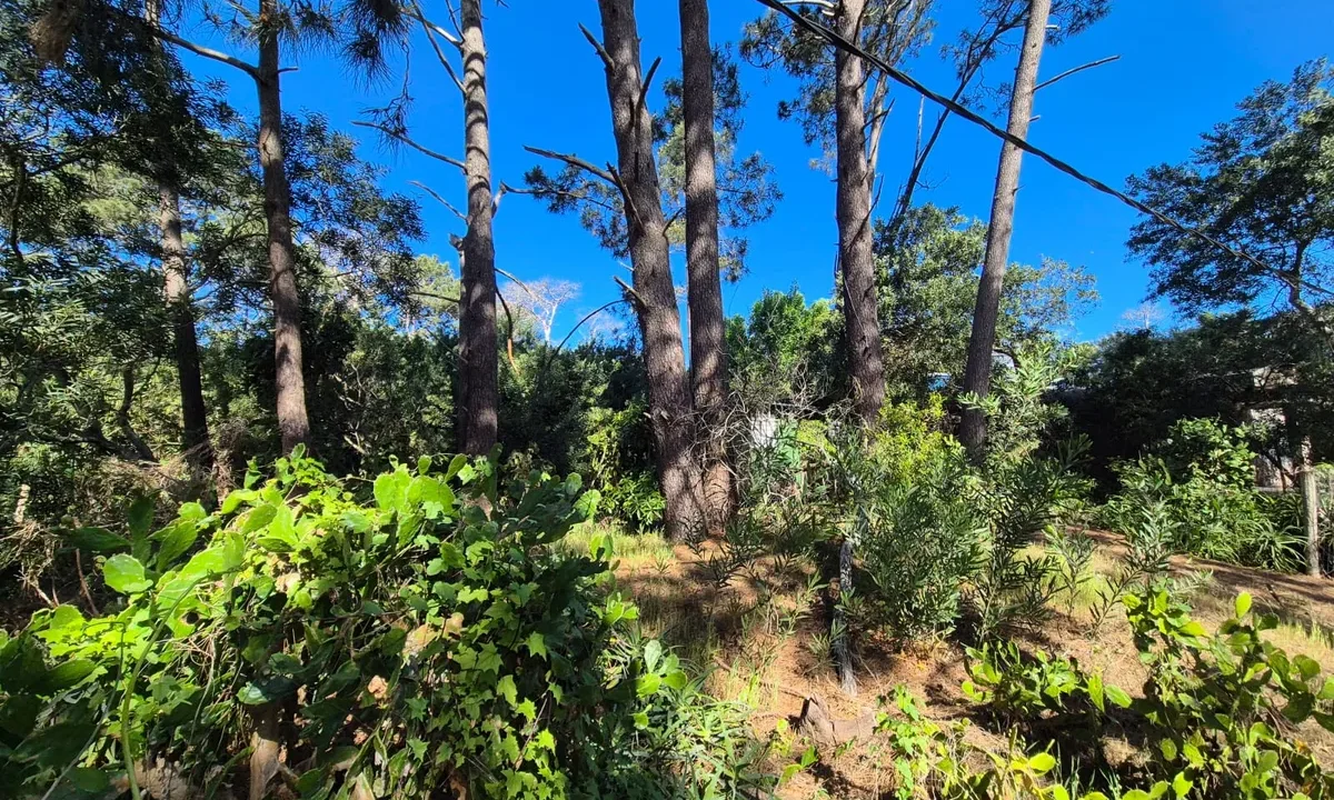 Terreno Guazuvira - 7