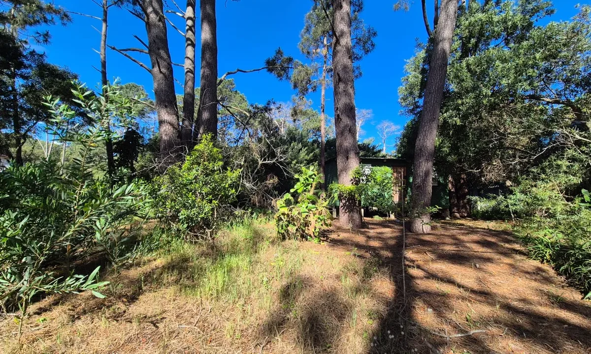 Terreno Guazuvira - 8