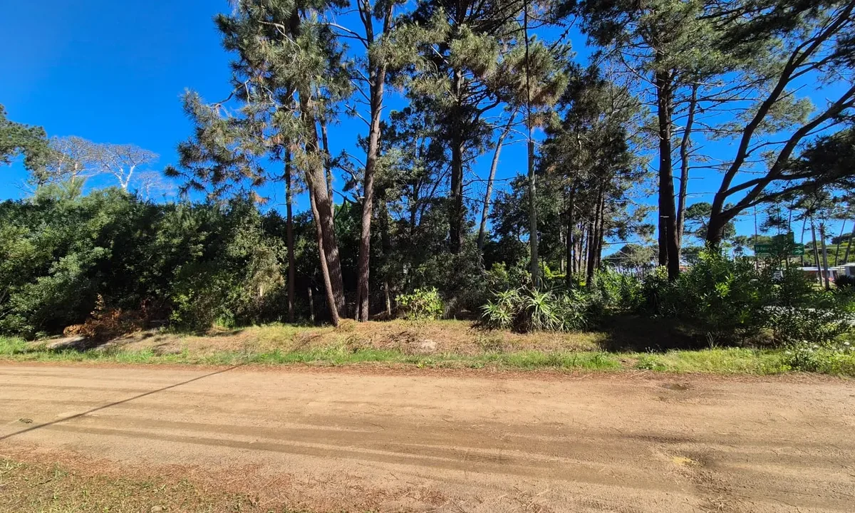 Terreno Guazuvira - 9