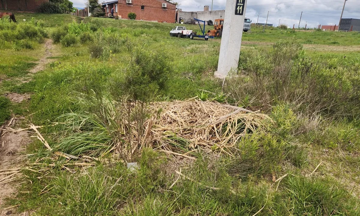 Venta de Terrenos amplios con gran frente en zona residencial - 2