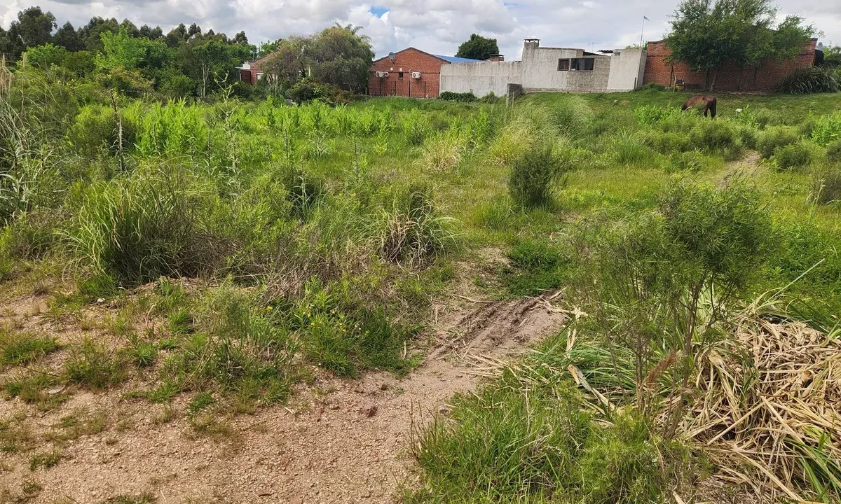 Venta de Terrenos amplios con gran frente en zona residencial - 4