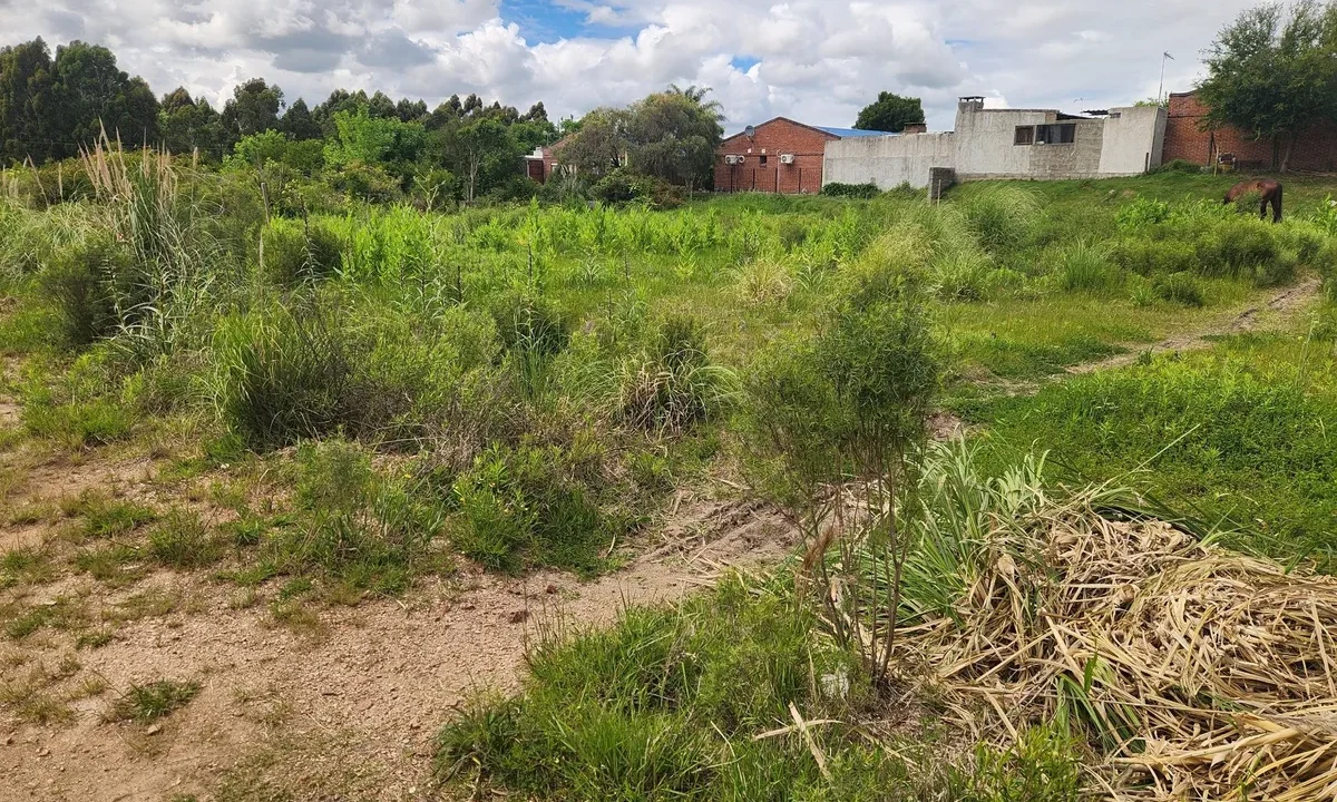 Venta de Terrenos amplios con gran frente en zona residencial - 5