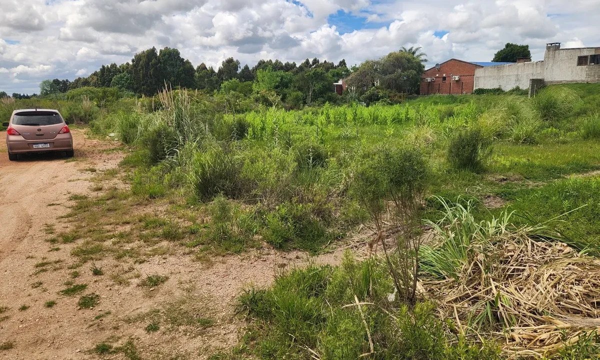 Venta de Terrenos amplios con gran frente en zona residencial - 6