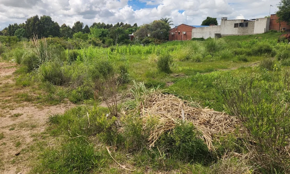 Venta de Terrenos amplios con gran frente en zona residencial - 8