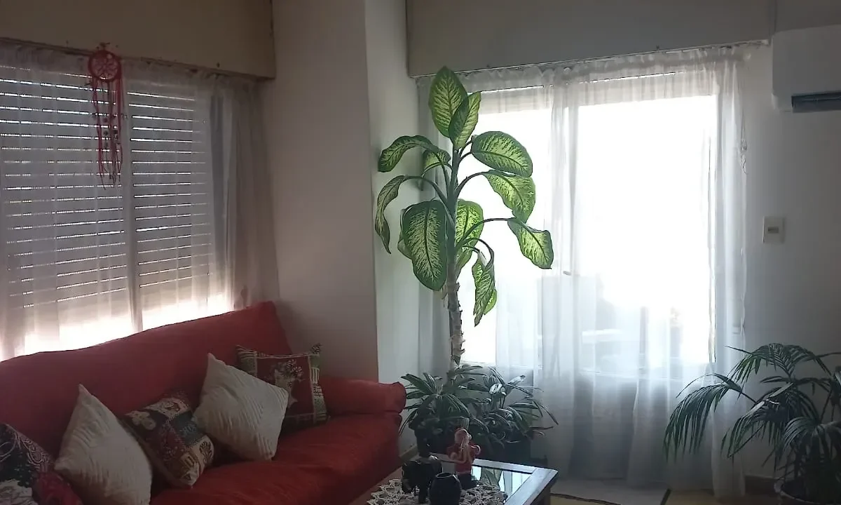 Alquiler de Apartamento en pleno Centro de Canelones - 5