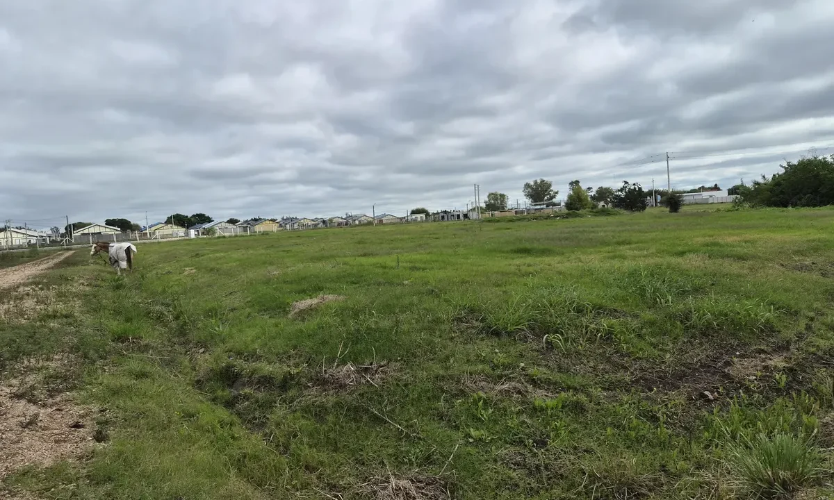 Amplios terrenos nivelados en zona de expansión en la ciudad de Canelones - 3