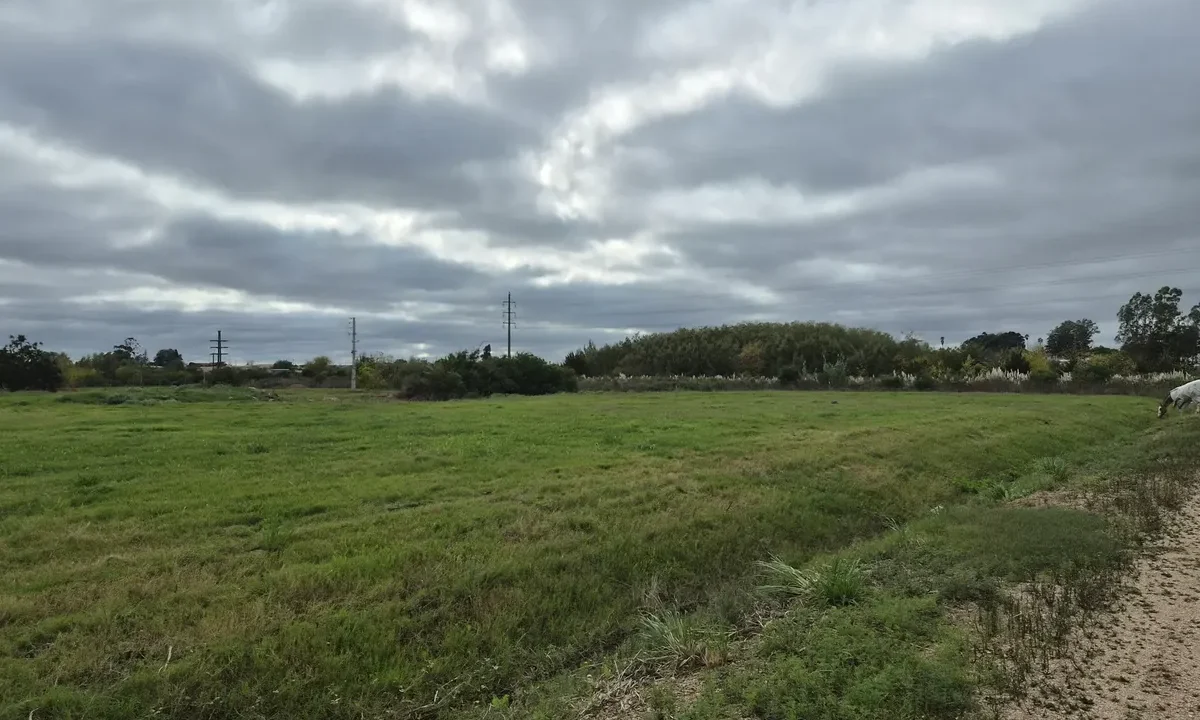 Amplios terrenos nivelados en zona de expansión en la ciudad de Canelones - 7