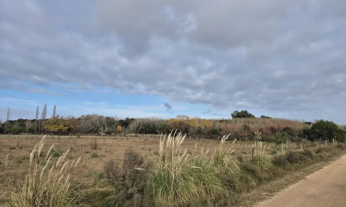 Fracción Rural próxima a Canelones - Ruta 5 y 64 - 15