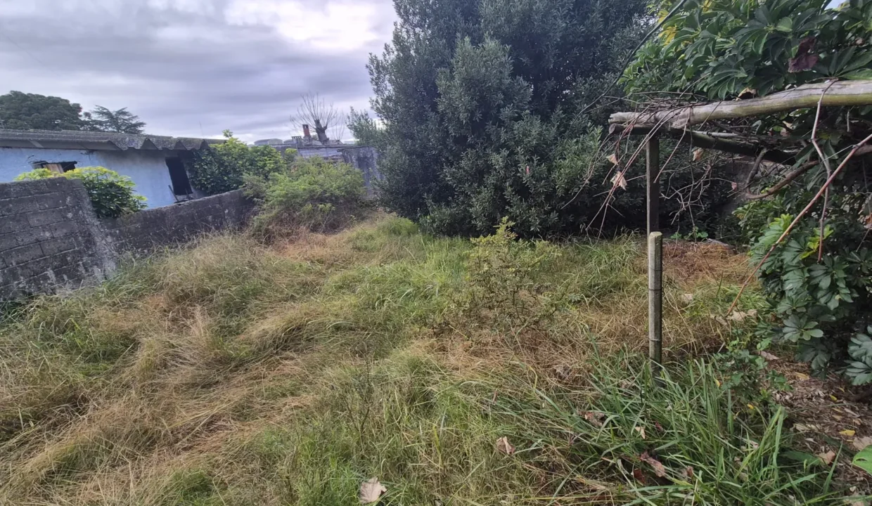 Venta de Casa de dos dormitorios sobre Luis A. Brause - 6