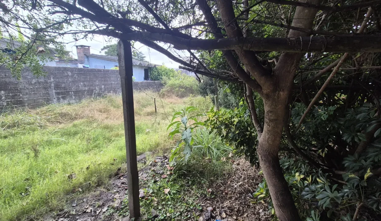 Venta de Casa de dos dormitorios sobre Luis A. Brause - 7