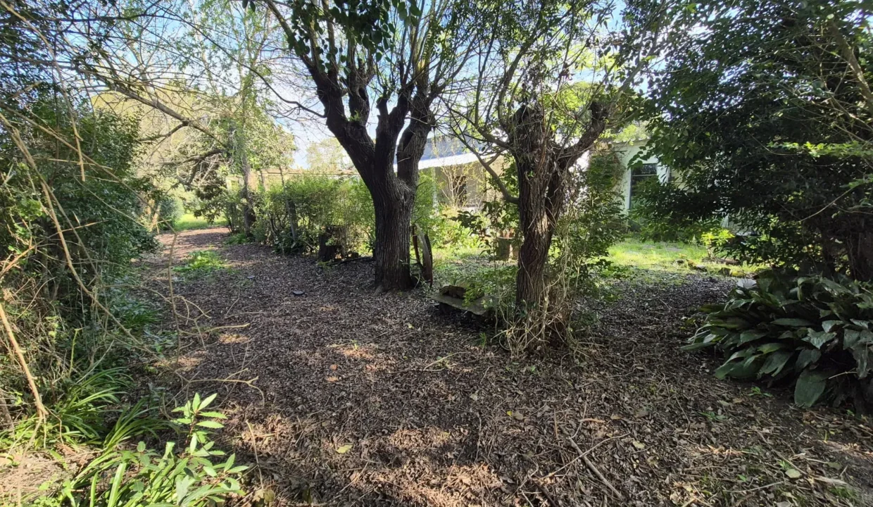 Venta de Casa de tres dormitorios en Paso Palomeque - 8